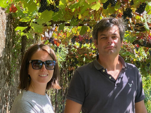 Vinho branco Quinta da Palmirinha Loureiro 2019 - sem Sulfitos com filtração