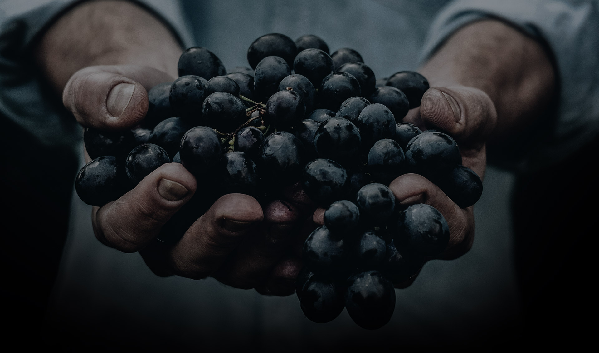 Legado do Zeca Adiante Que… DOC Douro Tinto Reserva 2019