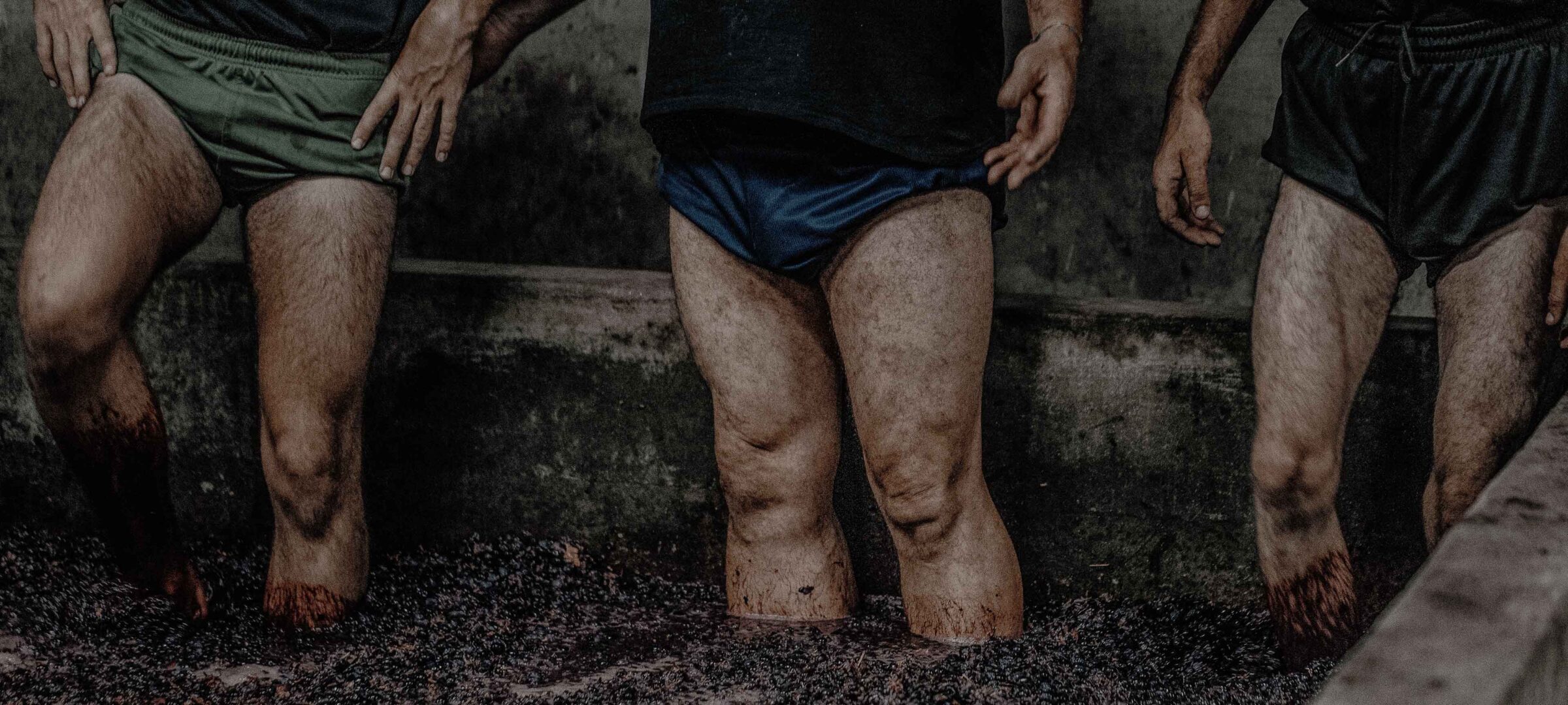 VirguWines