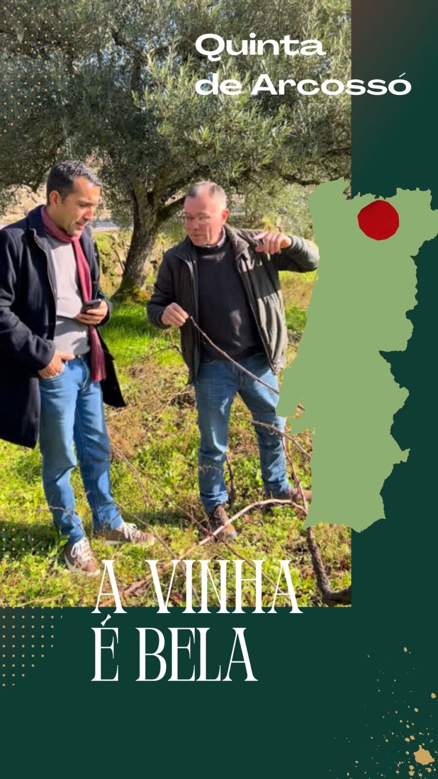 VirguWines
