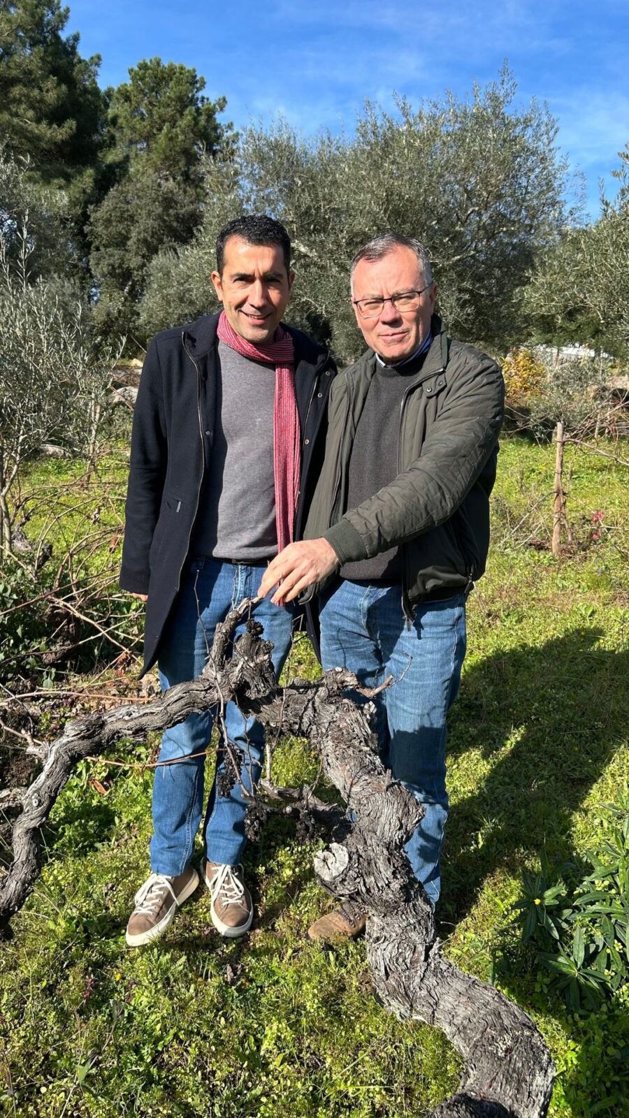 VirguWines