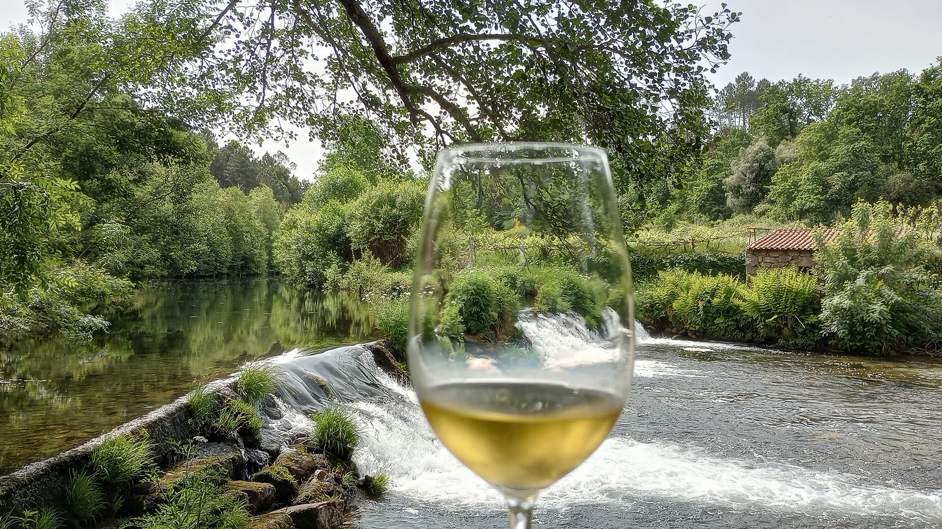 Copo de vinho Terrunho junto ao rio Mouro