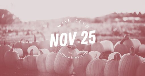 Clube de Vinhos VirguWines: Novembro com a poesia e a filosofia de Vasco Croft