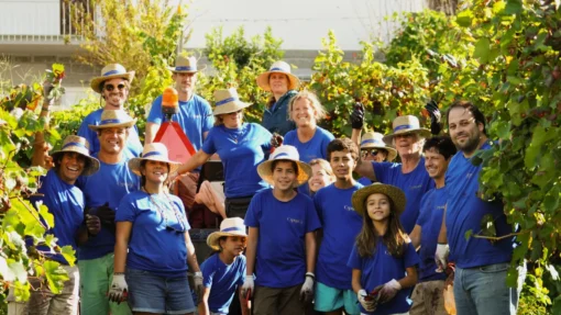 Vinhos Quinta de Cypriano