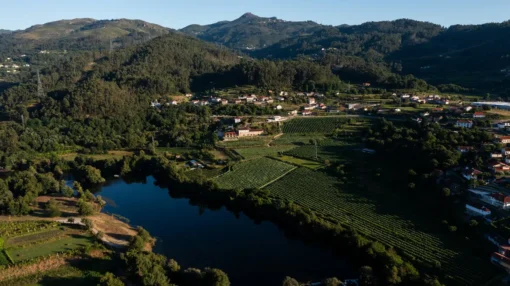 Vinhos Quinta de Cypriano