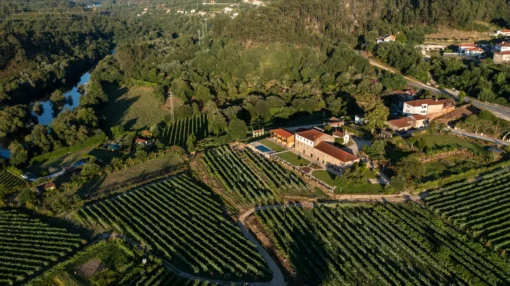 Vinhos Quinta de Cypriano