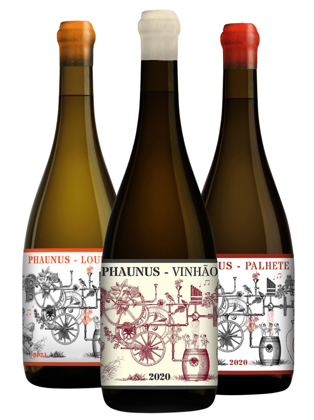 Seleção Ânfora Aphros Seleção Ânfora Aphros