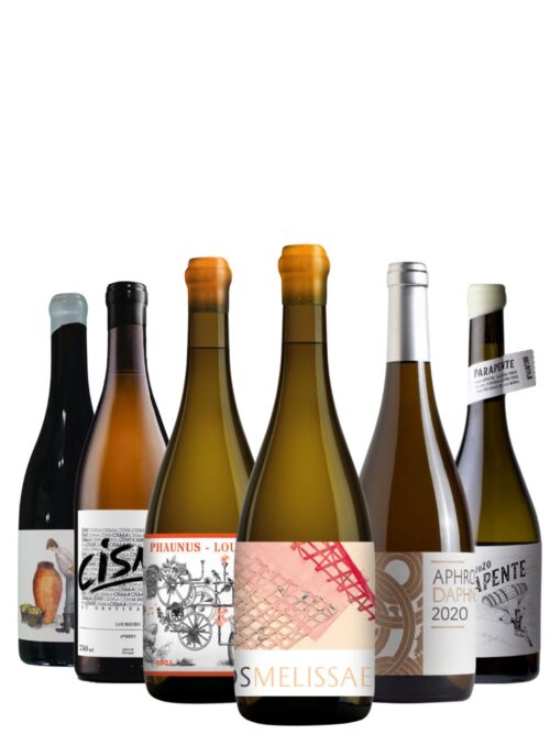 Seleção Loureiros topo de gama